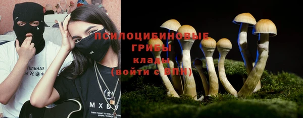 мдпв Зерноград