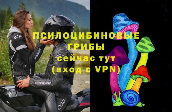 мдпв Зерноград