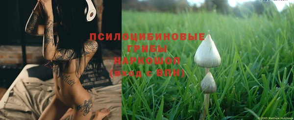 мяу мяу мука Зеленокумск