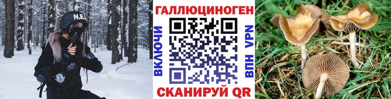 Купить закладки  Аксай  Галлюциногенные грибы GOLDEN TEACHER 